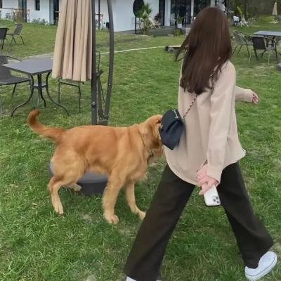 爱情生活