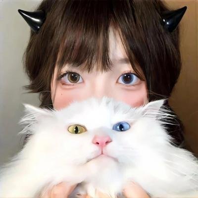 蜘蛛